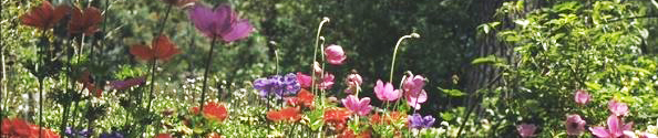 Offnungszeiten im Gartengrab Jerusalem