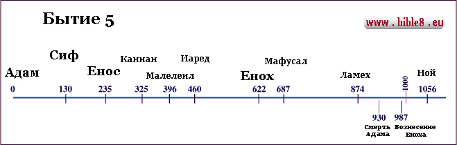 Хронологическая диаграмма потомков от Адама и от Ноя до Авраама. На основе Бытия 5 и 11 составлены эти хронологические линии