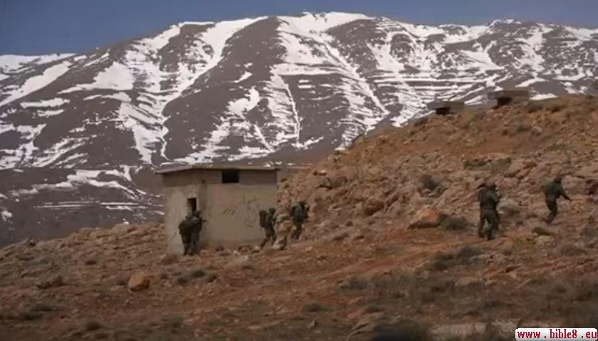 Операция Башан в Сирии 2024 год.