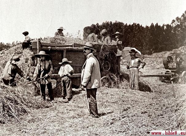 Сельско-хозяйственные работы в Земле Обетованной, описанные в этой главе, в 20 веке.