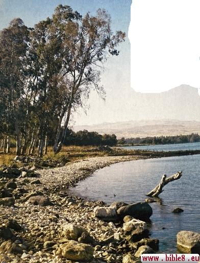 Кусочек пейзажа Магдалы сегодня.