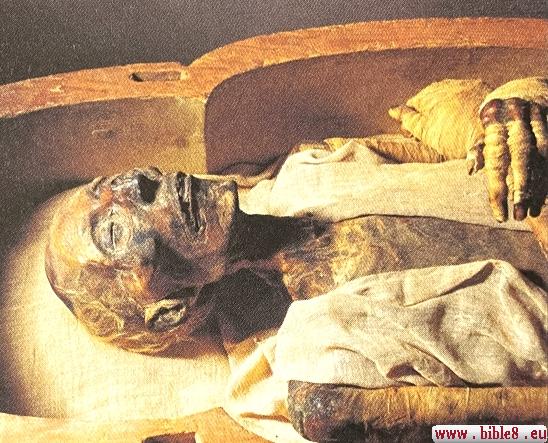 Мумия фараона Рамсеса II