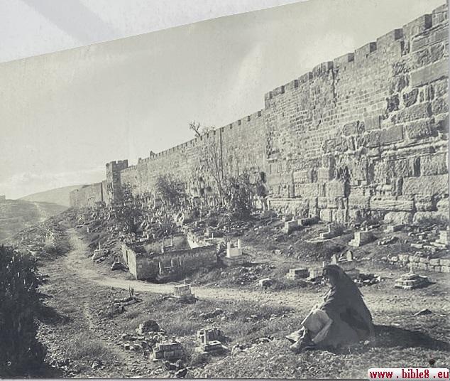 Фотография Храмовой горы два века назад.
Сегодня эта фотография висит перед входом на Храмовую гору