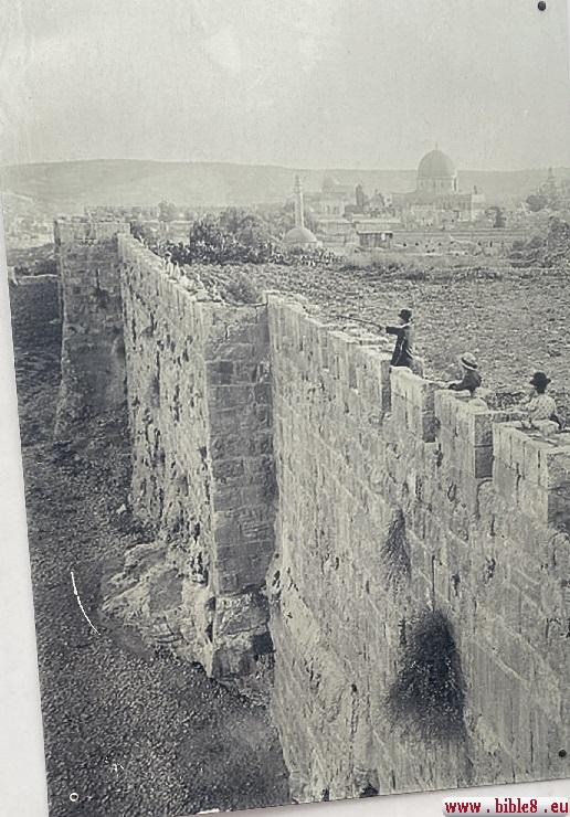 Фотография Храмовой горы два века назад.
Сегодня эта фотография висит перед входом на Храмовую гору